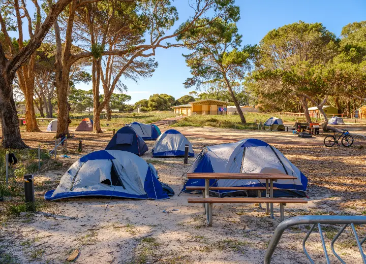 Tents under tea-trees at the Rottnest Island campground